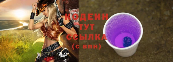 Альфа ПВП Инта