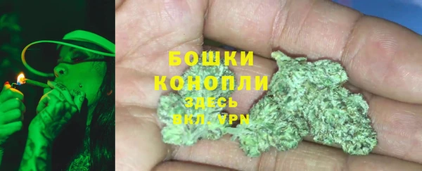 Альфа ПВП Инта