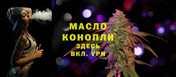 Альфа ПВП Инта