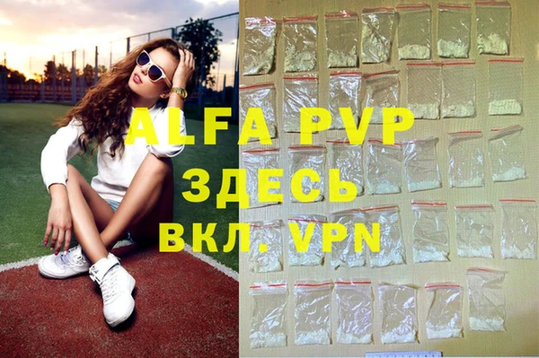 Альфа ПВП Инта